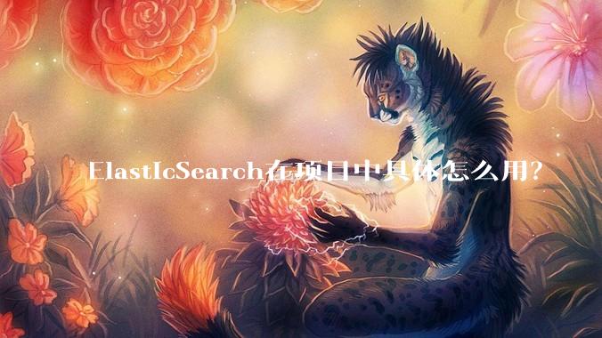 ElasticSearch在项目中具体怎么用？