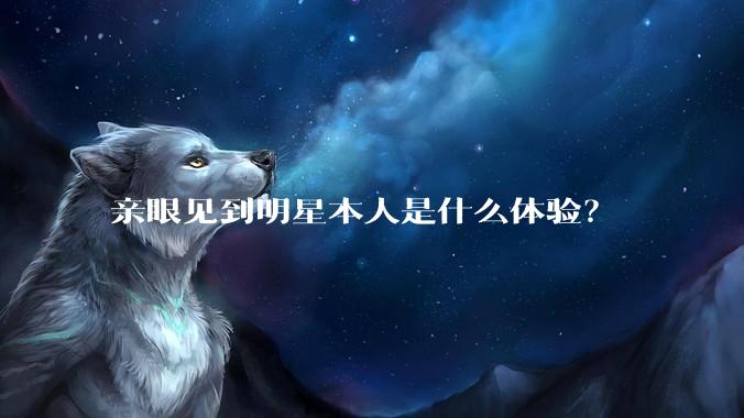 亲眼见到明星本人是什么体验？