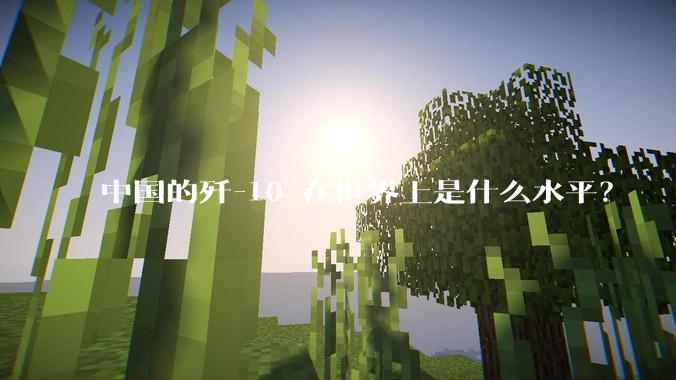 中国的歼-10 在世界上是什么水平？