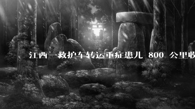 江西一救护车转运重症患儿 800 公里收 28000 元遭质疑，争议点是什么？哪些信息值得关注？