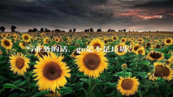 写业务的话，go是不是垃圾？