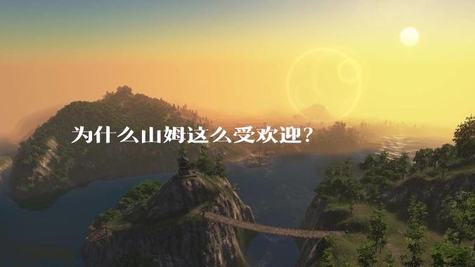 为什么山姆这么受欢迎？