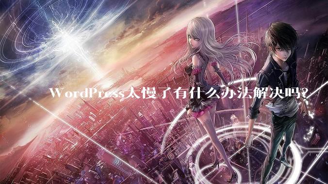 WordPress太慢了有什么办法解决吗？
